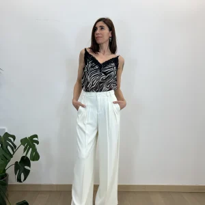 Top Zebra
